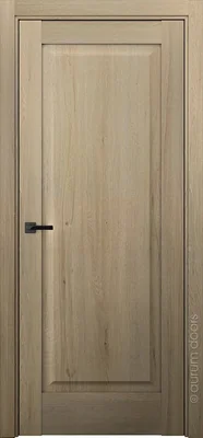 Дверь межкомнатная Рэйзд 1